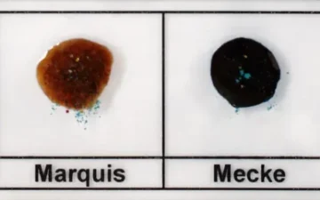 How to detect methamphetamine mixed in MDMA?