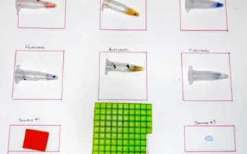 Testing LSD gel tabs with reagent tests