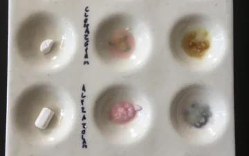 How to detect alprazolam, bromazolam and clonazepam